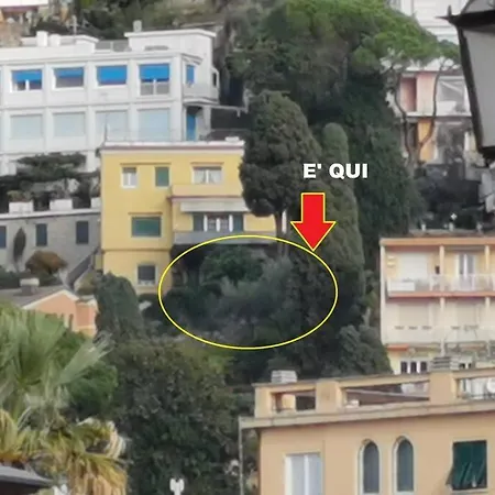 Tre Palme, Villino Privato, Oasi Verde Con Vista, A Rapallo